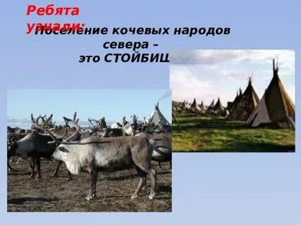 Северные кочевые племена