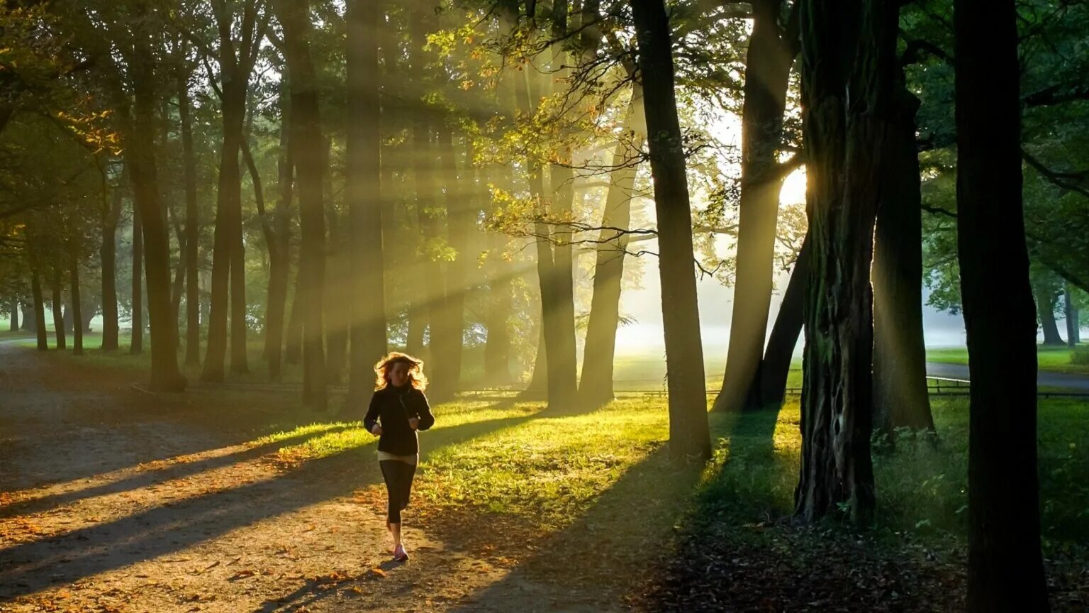 Гулять каждое утро. Бег в лесу. Прогулка в парке. Прогулка в лесу. Человек гуляет в лесу.