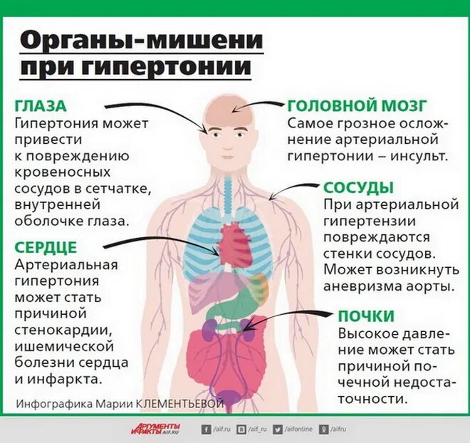 5 органы мишени. Органы-мишени при артериальной гипертензии. Гипертоническая болезнь органы мишени. Органы мишени при артериальной гипертонии. Поражение органов при артериальной гипертензии.