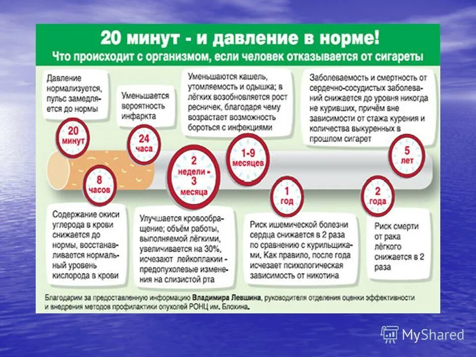 Что происходит после 1 дня