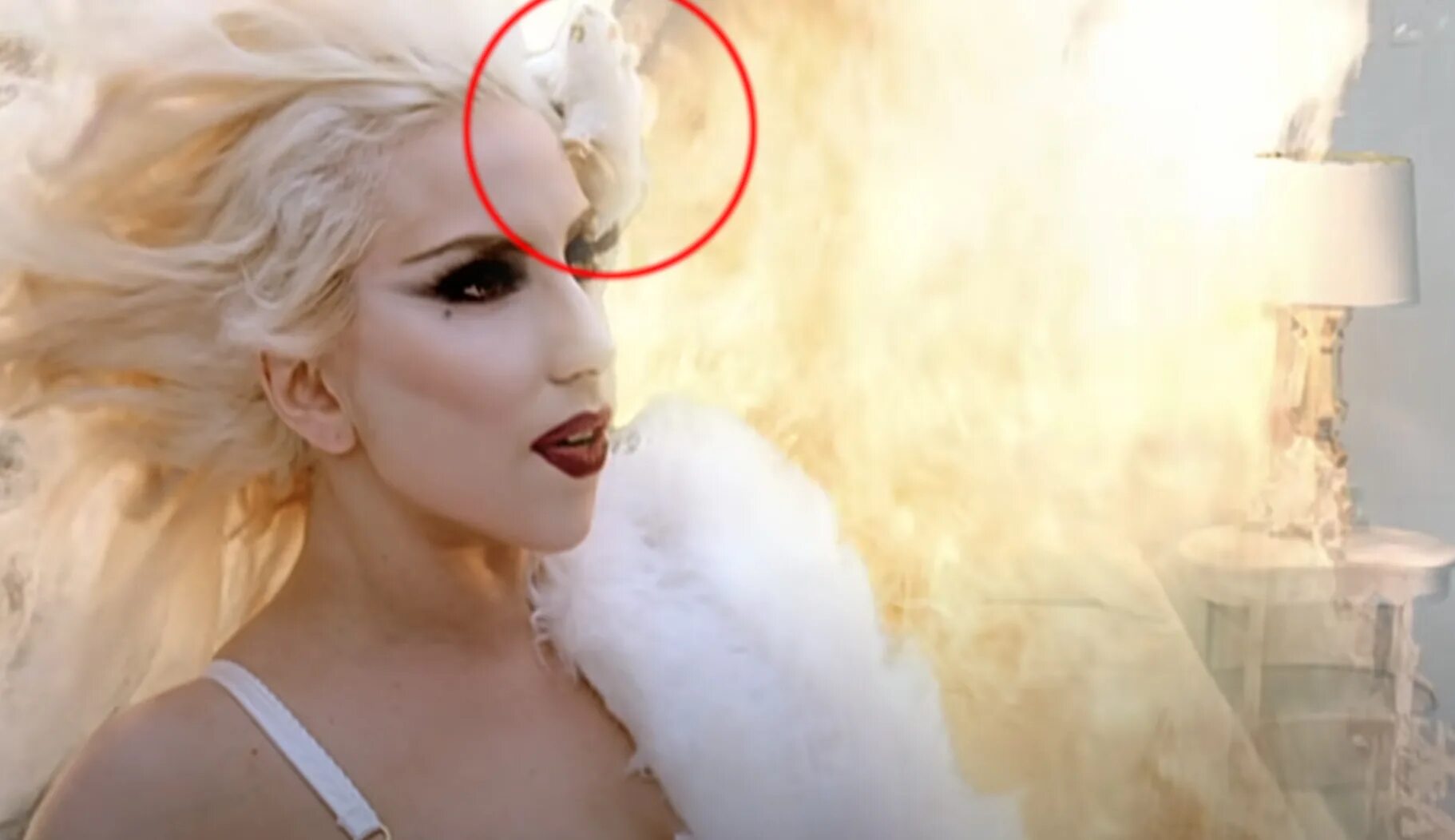 Леди гага клипы. Lady gaga новый клип. Lady gaga иллюминат. Леди гага 1986. Леди гага клипы.