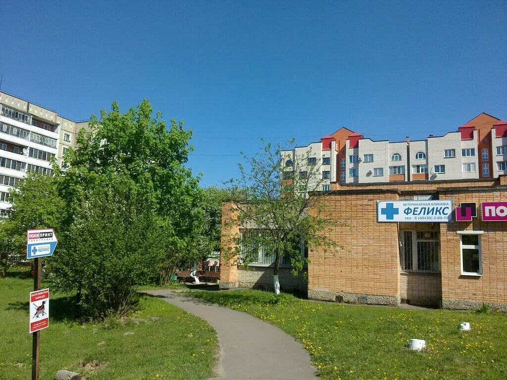 ветлечебница калужская. ветеринарная клиника кот и пес калуга. ветеринарная больница калуга. калуга клиника айболит ветеринарная клиника. воротынск ветеринарная клиника.