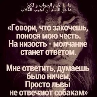 Имам аш шафий сказал