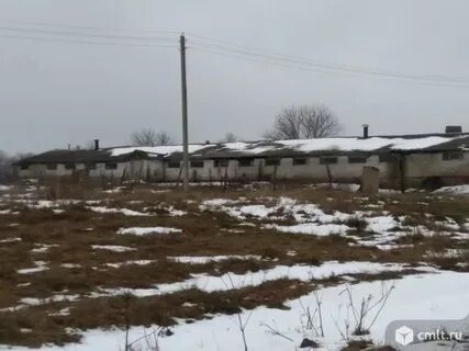 Погода архангельское воронежская