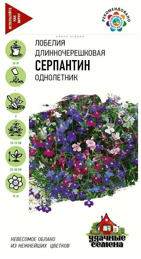 лобелия серпантин гавриш. лобелия длинночерешковая серпантин. лобелия серпантин. гавриш удачные семена лобелия ампельная маркиза 0,05 г. лобелия.