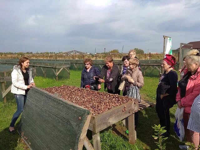Эко ферма деревня. Экодеревня коломна парфентьево. Эко ферма деревня. Сенькино-секерино лошадки костин двор. Кузьмищево тульская область эко деревня.