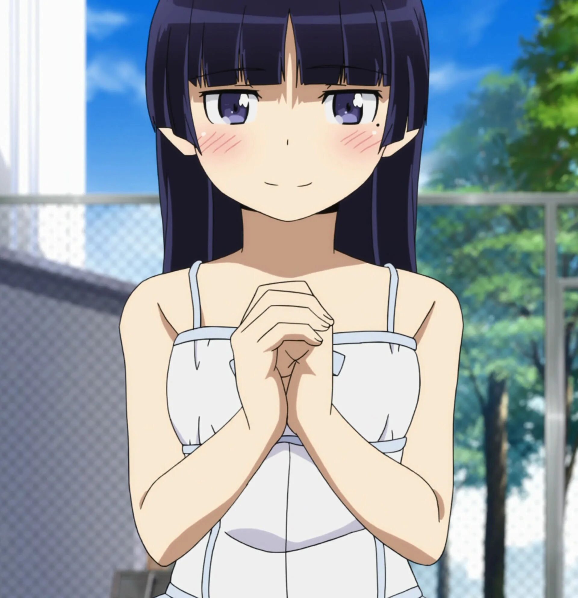 Ruri lapisl