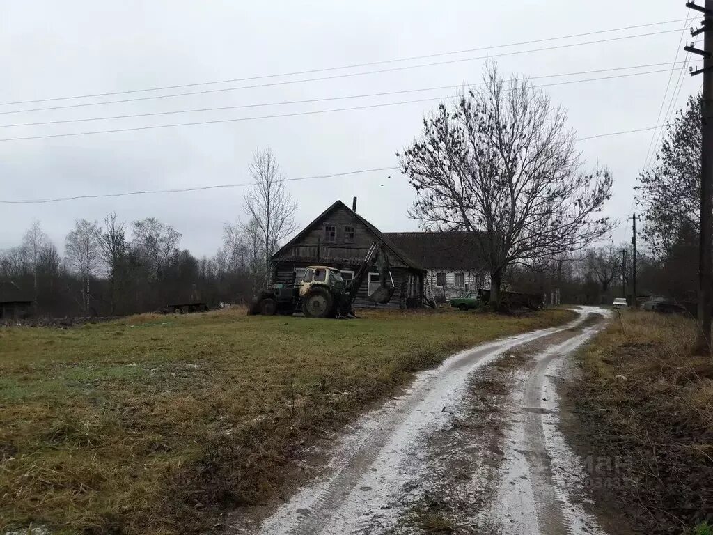 Деревня размесово новоржевский район псковская обл фото