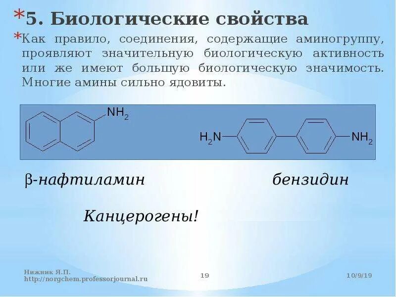 Азотсодержащие соединения амины. Амины и аминокислоты. Амины биологическое значение. Свойства аминогруппы. Амины сильные.