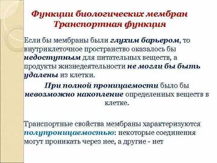 Биологические барьеры