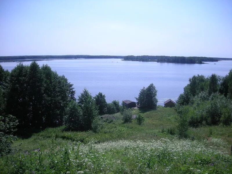 Погода соловатово костромская. Погода соловатово костромская