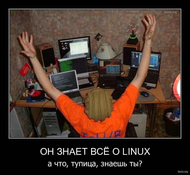 Для чего нужен линукс. Шутки про linux. linux демотиватор. линукс мемы. шутки про операционную систему.