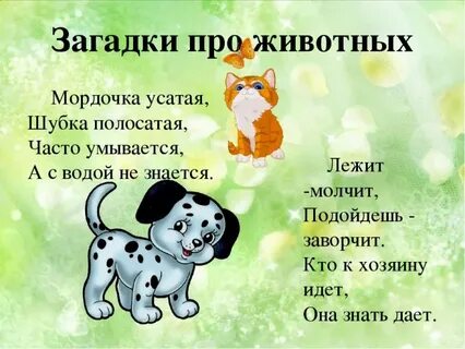Загадки о животных 4 5