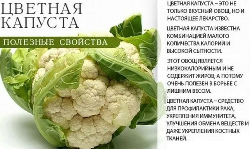 Сколько углеводов содержится в капусте
