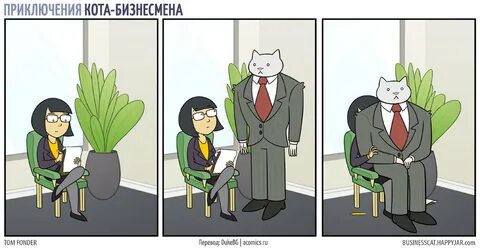 Business cats