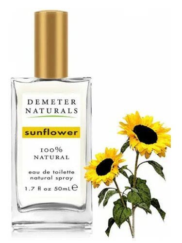 Sun flower отзывы. Духи с ароматом подсолнуха. Sunflower аромат. Парфюм с запахом подсолнечника. Духи пахнущие подсолнухами.