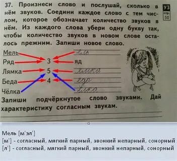 Сколько звуков в слове вьется