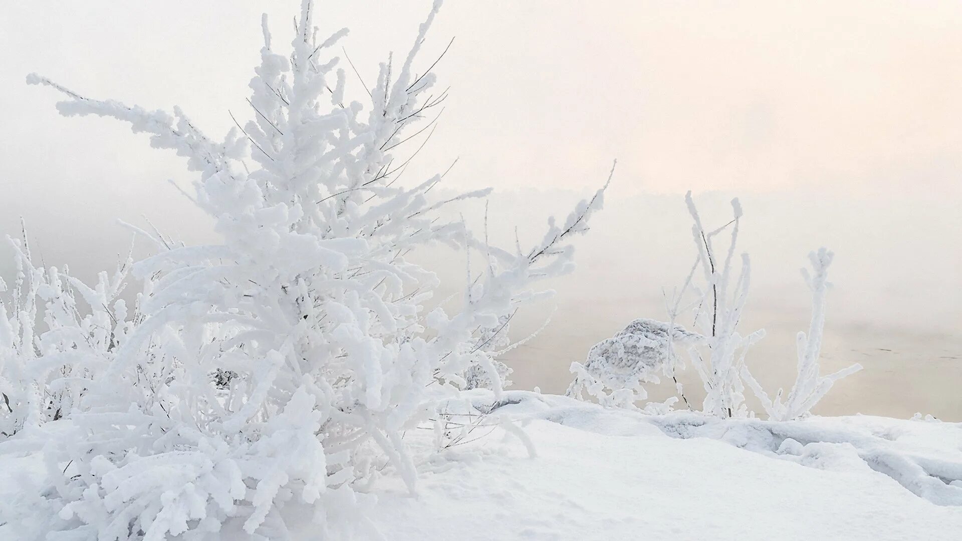 Белый заснеженный пейзаж. Зимний пейзаж. Снег пушистый нежный нежный. Пушистая зима. Снег пушистый нежный нежный.