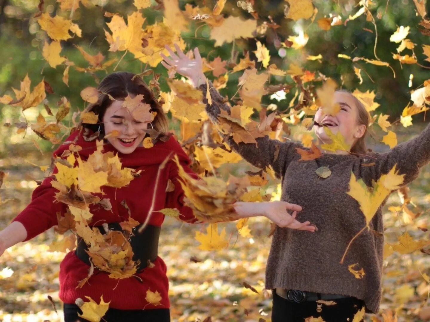 Листья кружатся. Осенние листья кружат. Осень кружатся листья. Листья кружатся осенью. Листья желтые кружатся оригинал