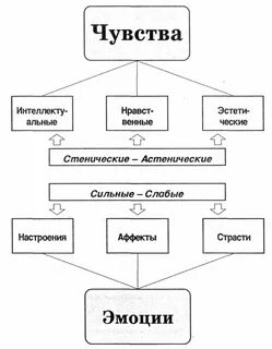 Орган переживаний