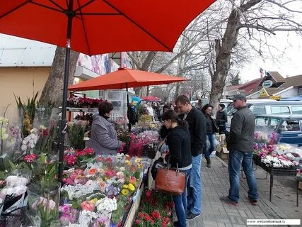 Цветочный магазин анапа