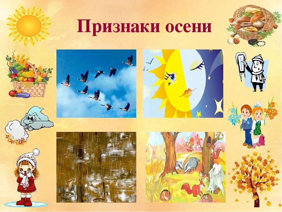 Что случилось вся природа изменилась