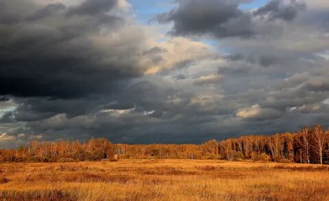 Осень небо дождь