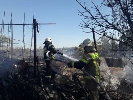 Волгоград новости 2 апреля