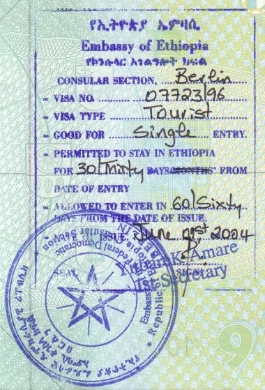 виза в эфиопию. эфиопия виза для россиян 2022. нужна ли виза в эфиопию. виза одобрена в сша. паспорт эфиопии.