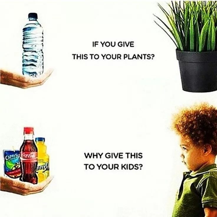 Если растениям вы даете это. Растение которое дает деток. Чем мы поливаем растения и что даем пить детям. Детям колу цветам воду. Давать пить давать жить