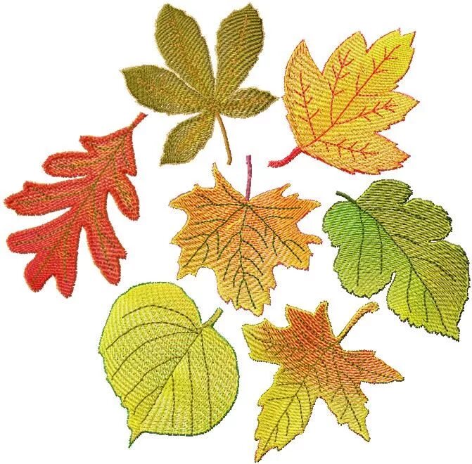 Осенние листья для вырезания. Вышивка листья. Вышивка осенние листья. Листочки для вышивания. Вышивание листика.
