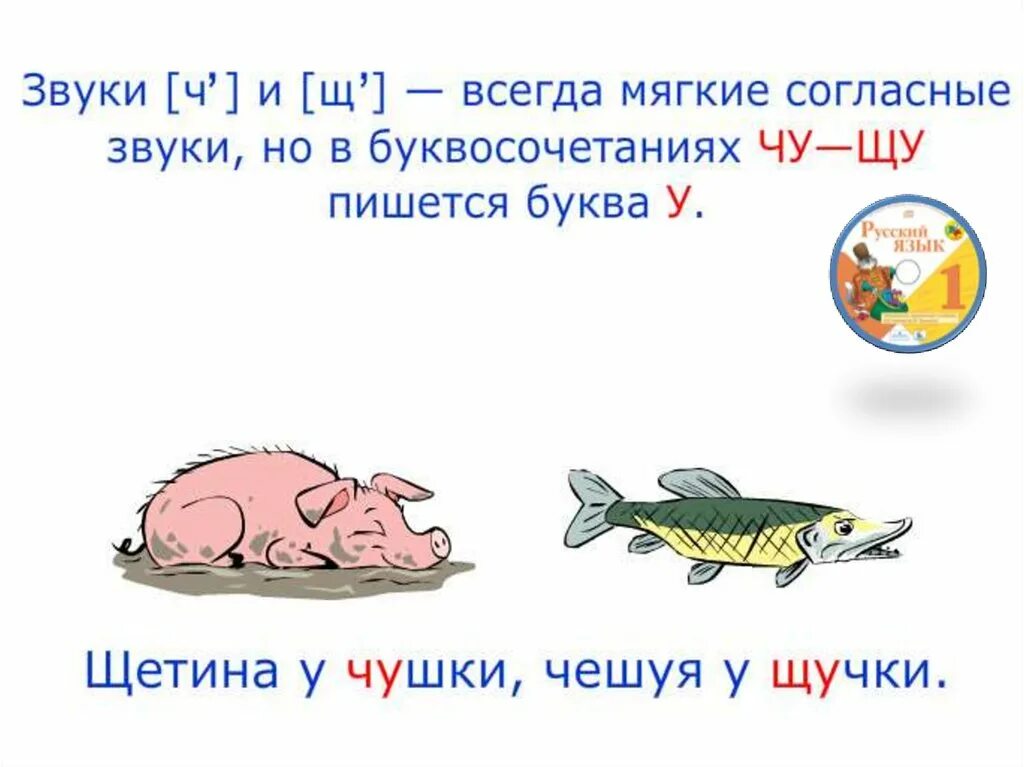 Буквосочетание 1 класс. Буквосочетания ча ща. Правописание сочетаний ща ЩУ. Буквосочетания жи ши. Сочетания ча ща Чу ЩУ.