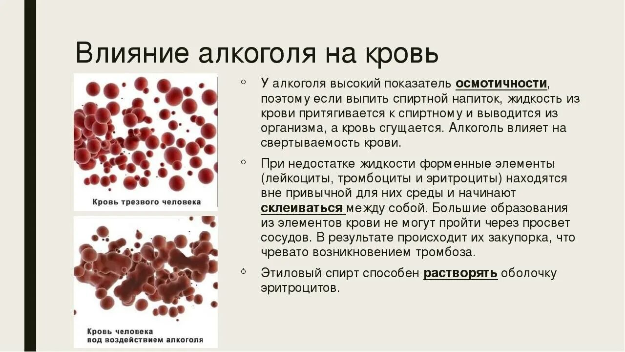 У пьющих гемоглобин
