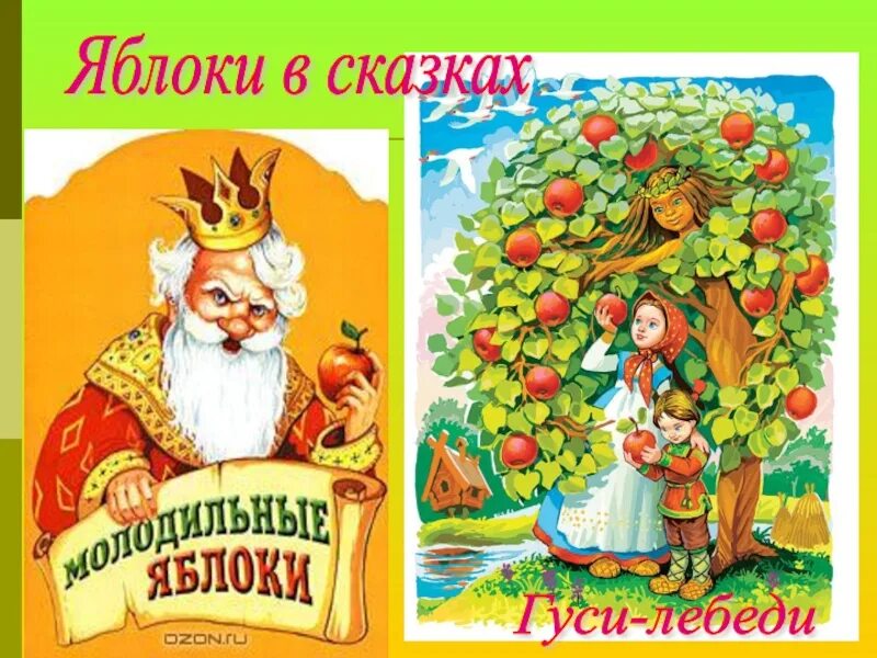 Сказка яблоко. Яблоко в русских народных сказках. Образ яблока в сказках. Молодильные яблоки сказка. Сказка яблоко автор