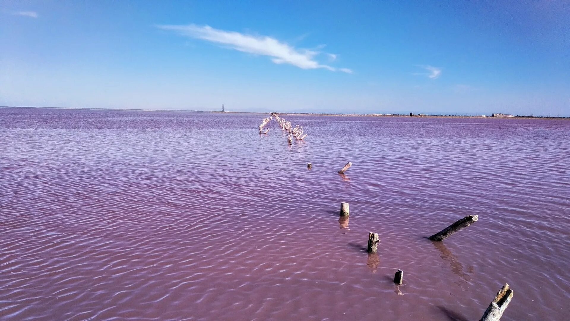 Озеро Сасык. Розовое соленое озеро в Крыму. Розовое озеро Сасык-Сиваш. Озеро Сиваш в Крыму. Розовый водоем в крыму
