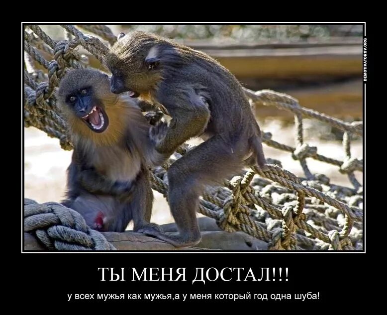 Следующую достала