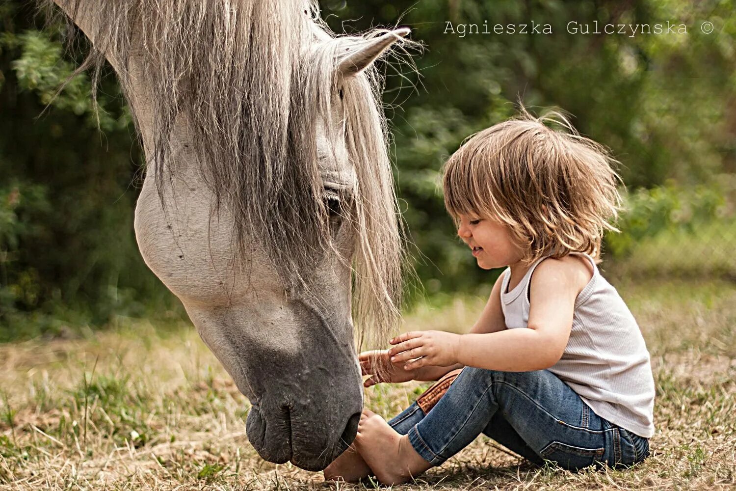 Приколы самые смешные для детей. Лошадь ест девочку. Ребенок на коне. Лошади приколы для детей. Фотосессия с лошадьми.