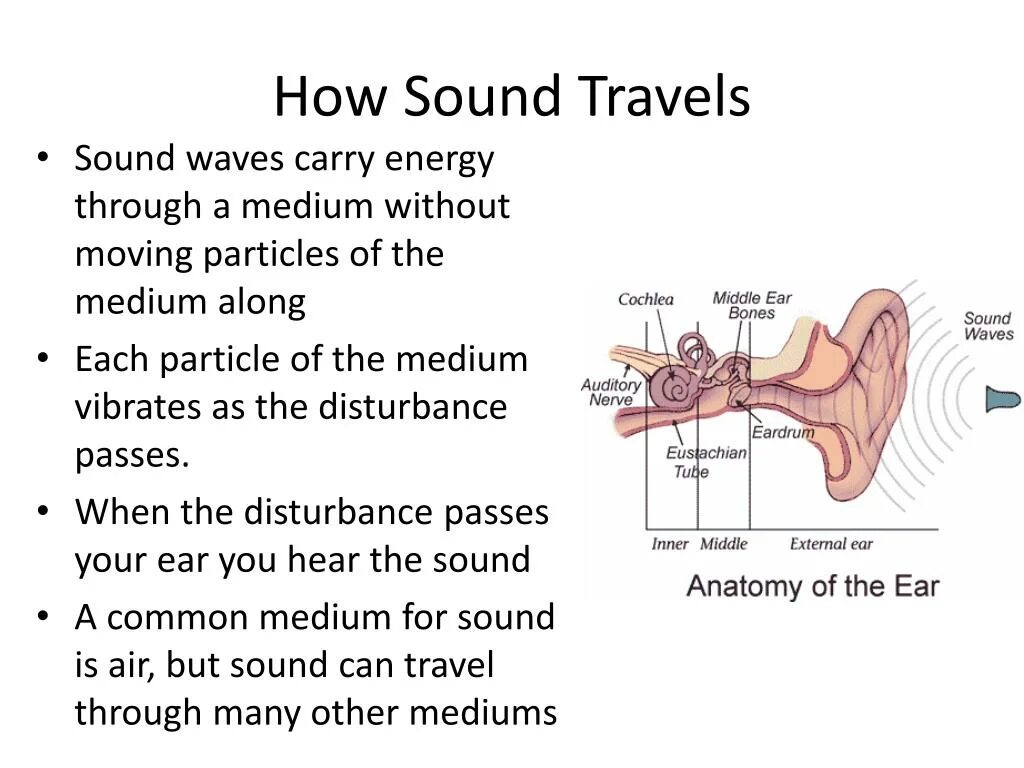 How does sound travels. Sound travel. Sound travels. Sound travel. Sound travel.