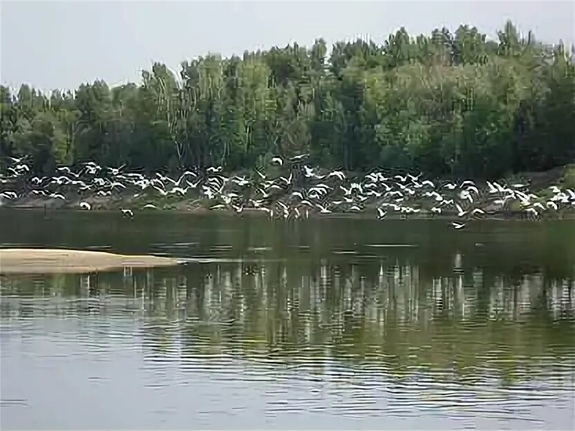 Сокрутовка астраханская область. Сокрутовка ахтубинский. Сокрутовка астрахань. Деревня сокрутовка астраханская область. Сокрутовка ахтубинский.