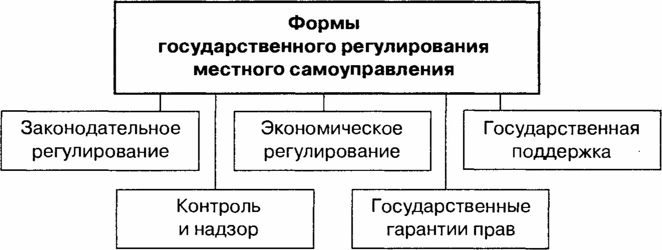 Государственная поддержка органов местного самоуправления