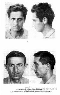 Антропологический поворот это