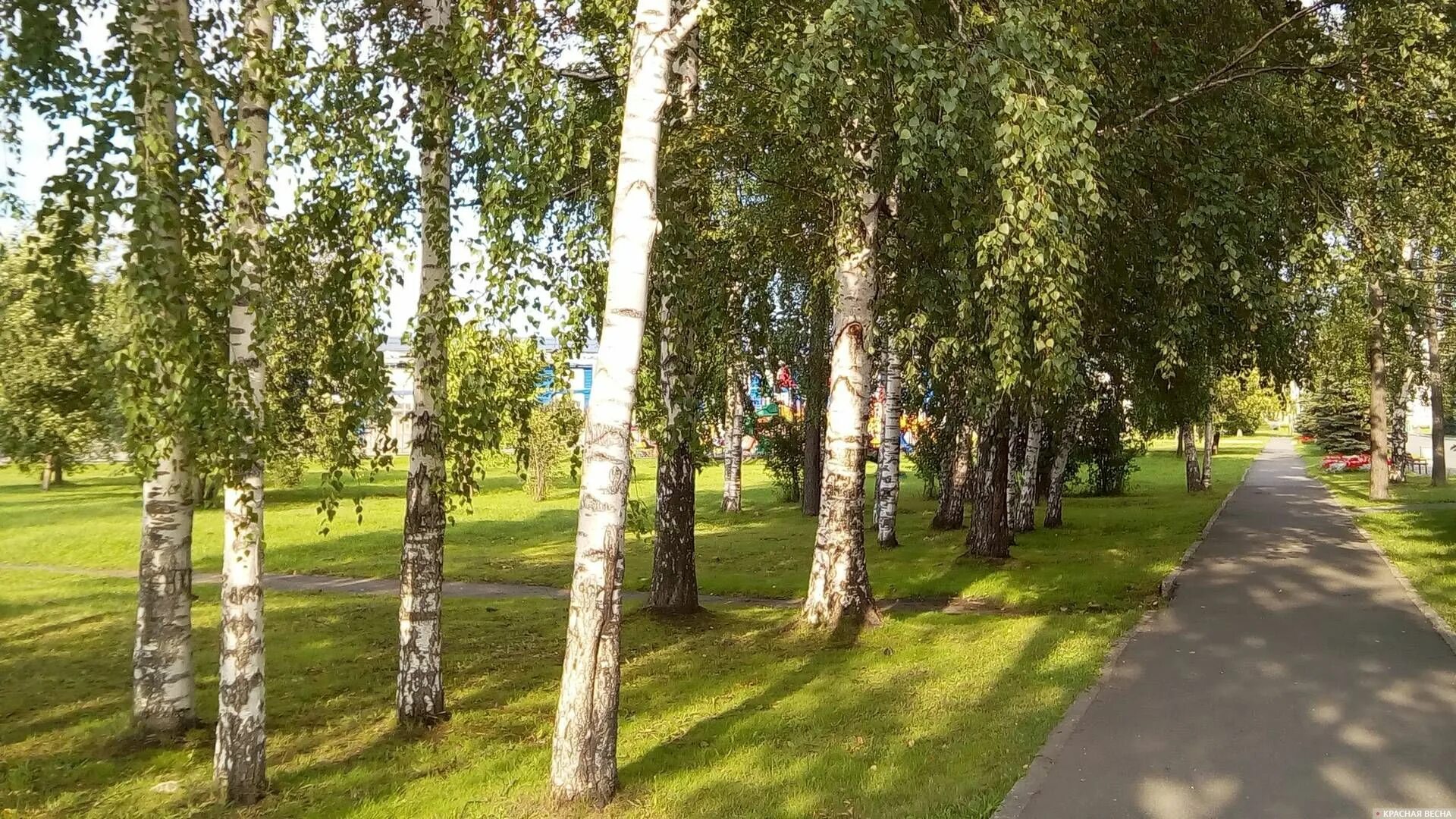 Самара парк советской власти. Парк 60 летия октября Самара. Лесопарк имени 60-летия Советской власти. Парк им 60 летия Советской власти Самара. Лесопарк 60 летия Советской власти Самара.