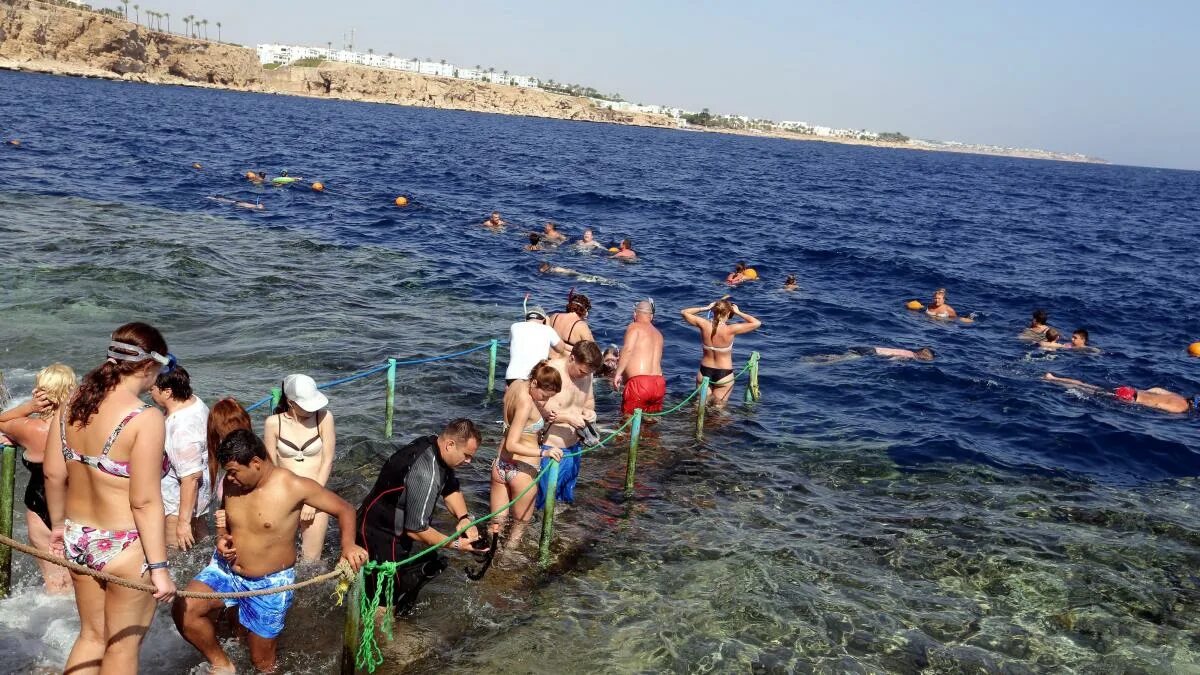 Египет нельзя купаться. Отдыхающие на пляже в Египте. Египет туристы на пляже. Египет купается. Фото из Египта от отдыхающих.