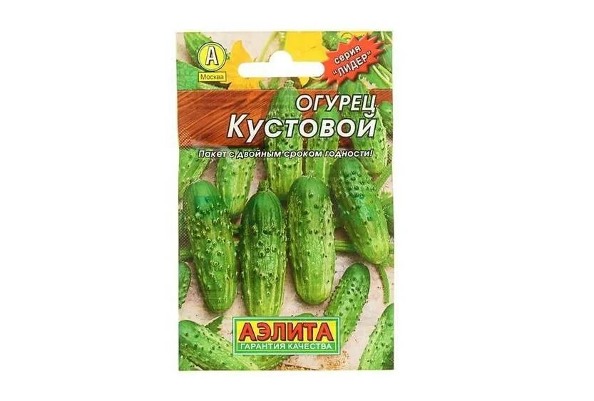 Сорта кустовых огурцов для открытого грунта