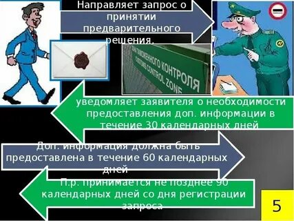 Принятие таможенными органами предварительных решений