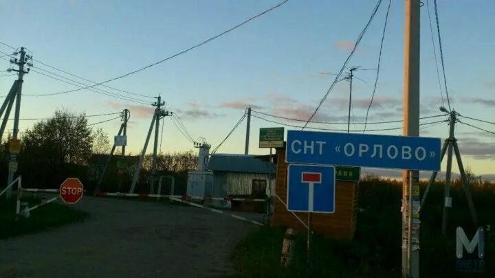 Снт орлово. Погода снт орлово. Новоселки клин деревня. Деревня орлово кострома. Снт орлово город курган.