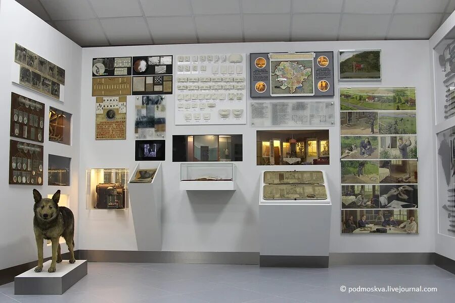 Стенды для музея боевой славы. Высоцкий внутри музей. Музей криминалистики московского уголовного розыска. Музей московского уголовного розыска на петровке 38. Музей московского уголовного розыска.