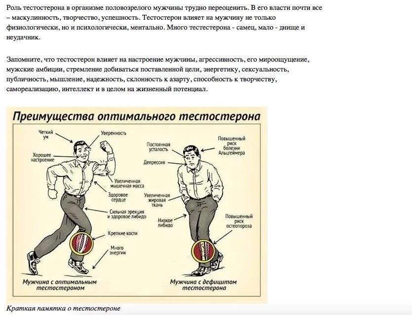 Повышение тестостерона у мужчин