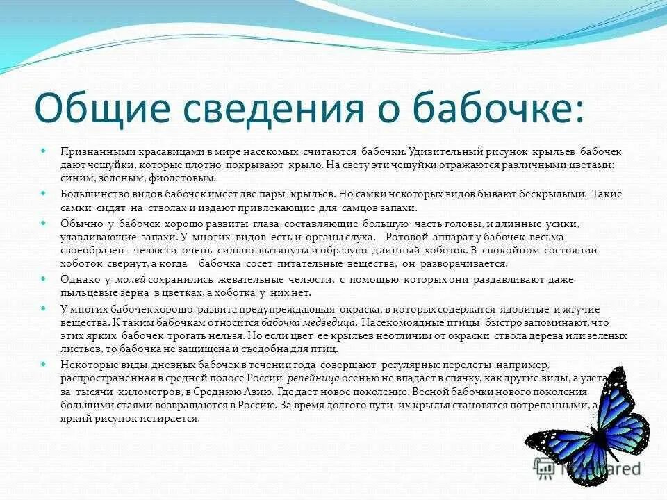 Сообщение о бабочке. Доклад про бабочку. Рассказ о бабочке. Доклад про бабочек 2 класс. Текст описания бабочки