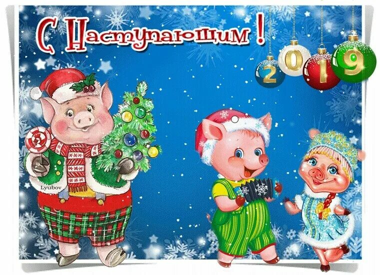 Открытки поздравление с новым годом 2019 свиньи. Свинья поздравляет с новым годом. Год свиньи картинки новогодние. С наступающим новым годом поросенок. 2019 год назначен годом